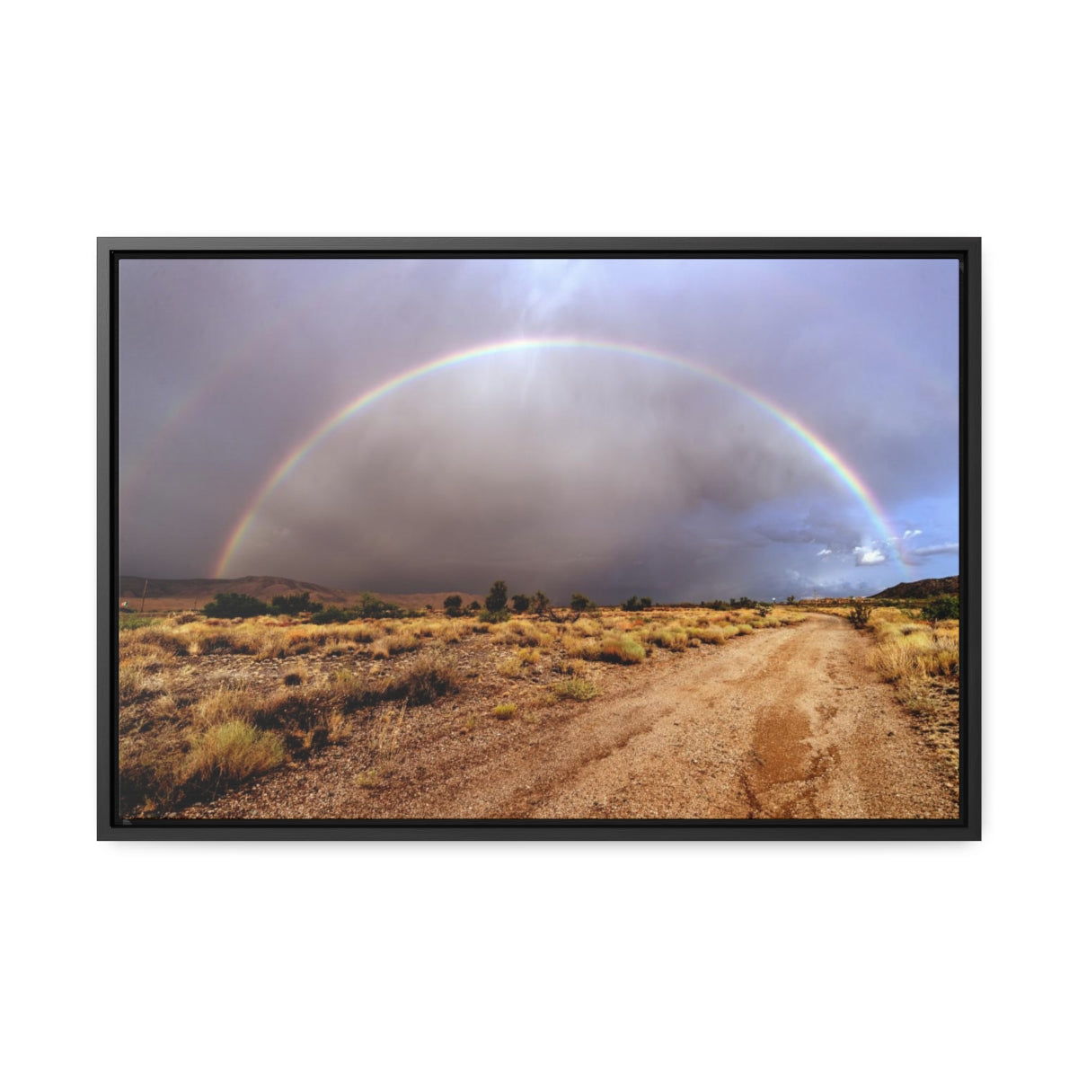 Rainbow Over Arizona Highway Canvas Print