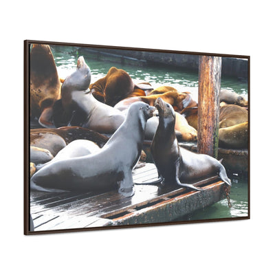 Sea Lion Standoff Canvas Print