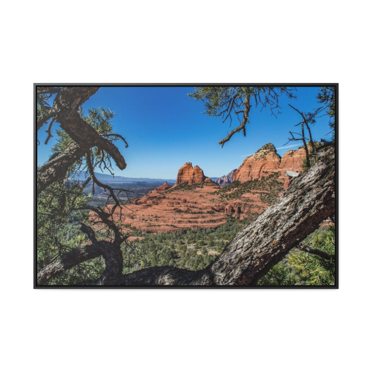 Monument Valley Arizona Canvas Print