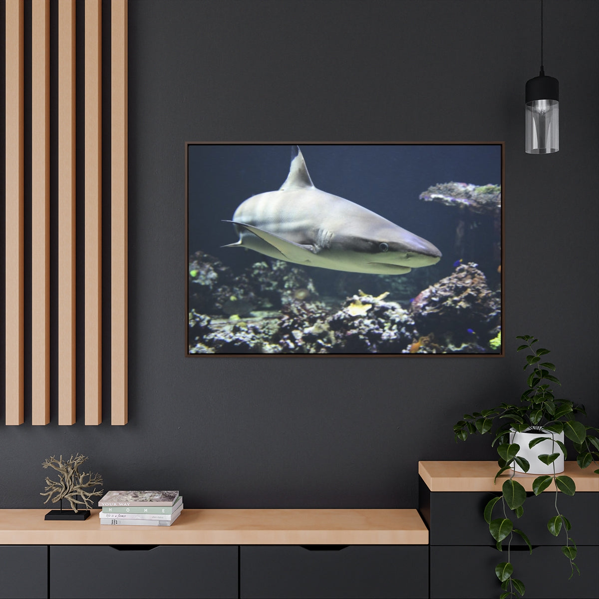 Blacktip Shark Canvas Print