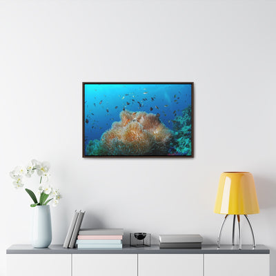 Coral Reef & Fish Canvas Print