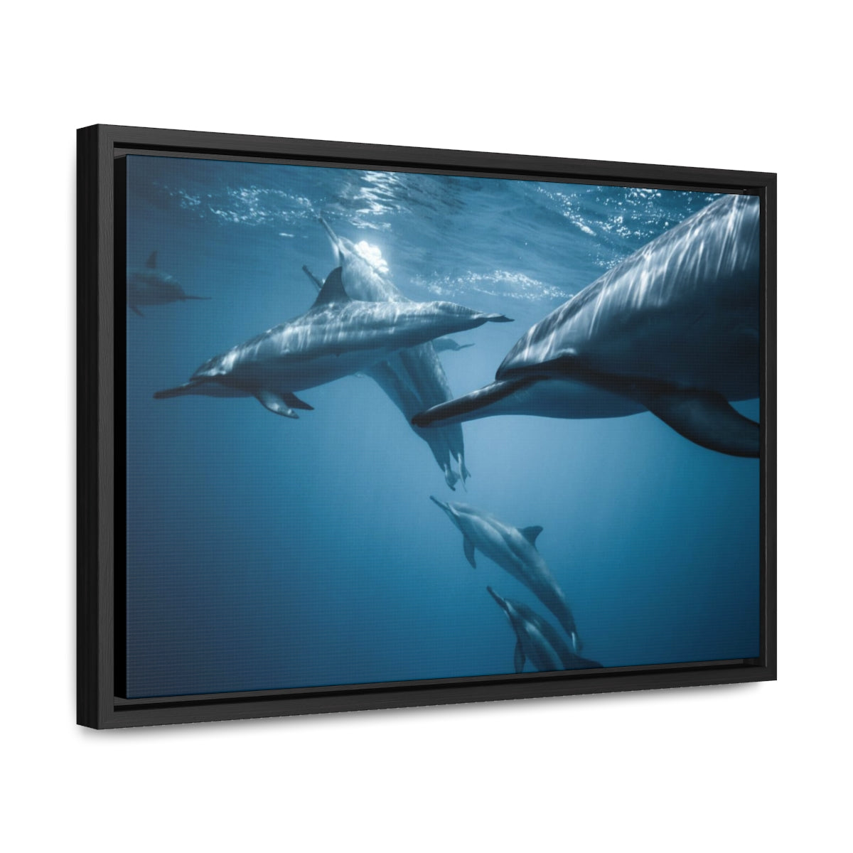 Dolphins Under Water Canvas Print