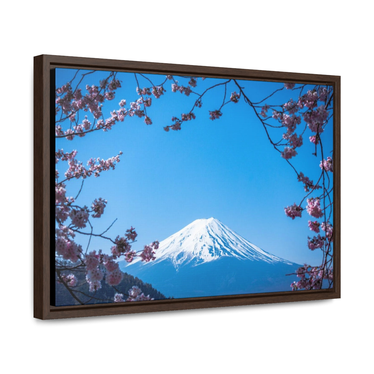 Fuji Mountain Canvas Print