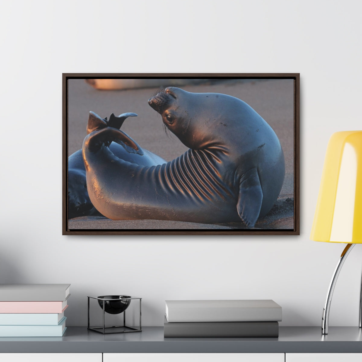 Seal Yoga Canvas Print