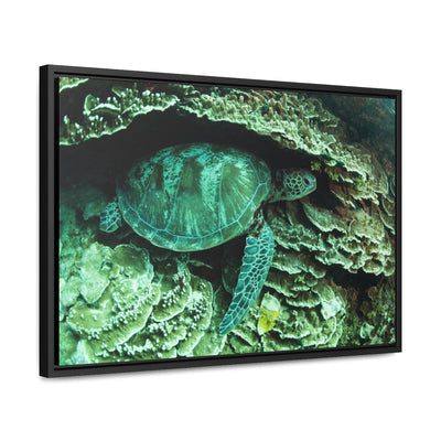 Sea Turtle Nap Time Canvas Print