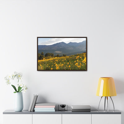 Desert Wildflowers Canvas Print