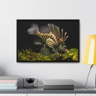 Lion Fish Over Seagrass Canvas Print