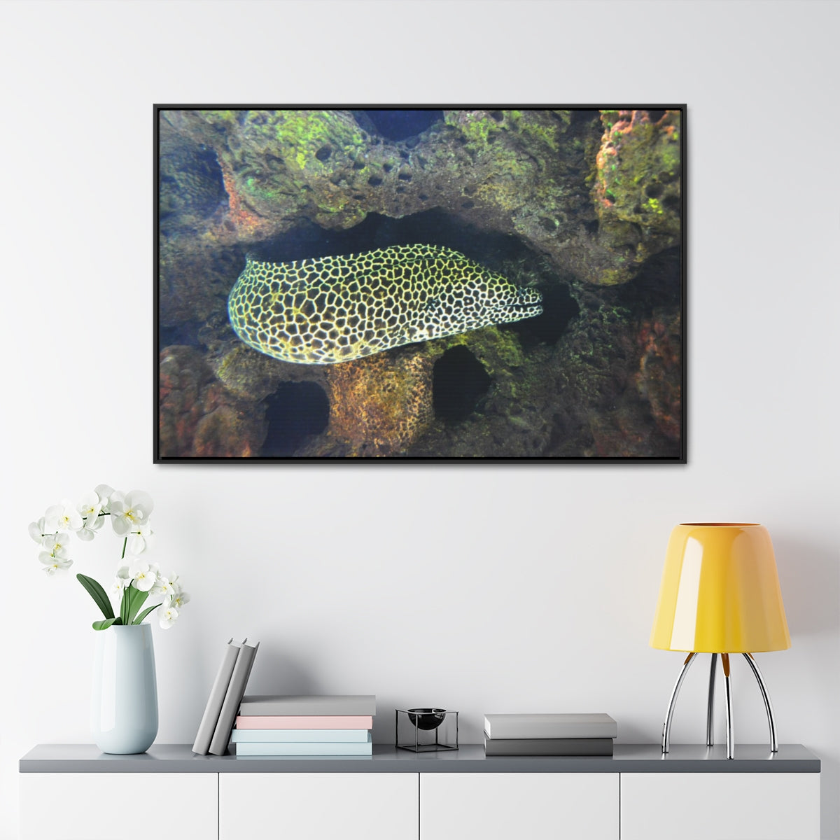 Honeycomb Moray Eel Canvas Print