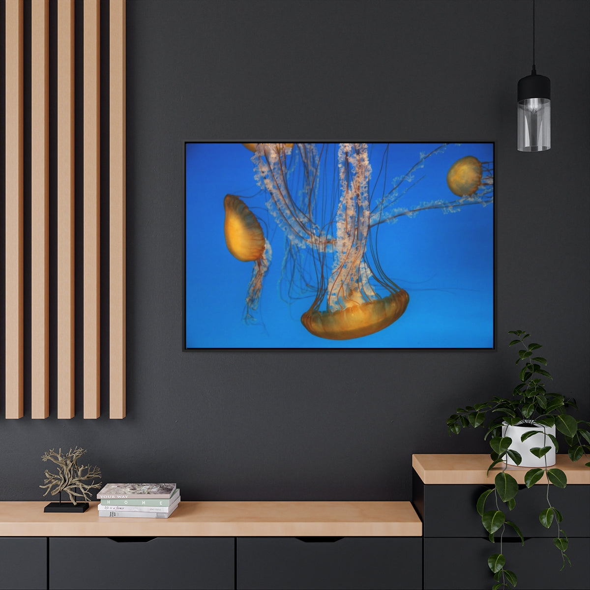 Jellyfish Descending Canvas Print