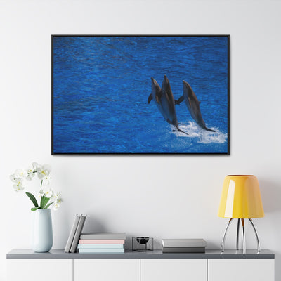 Dancing Dolphins Canvas Print