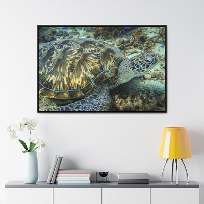 Sea Turtle Close-up Canvas Print