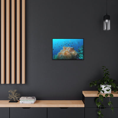 Coral Reef & Fish Canvas Print