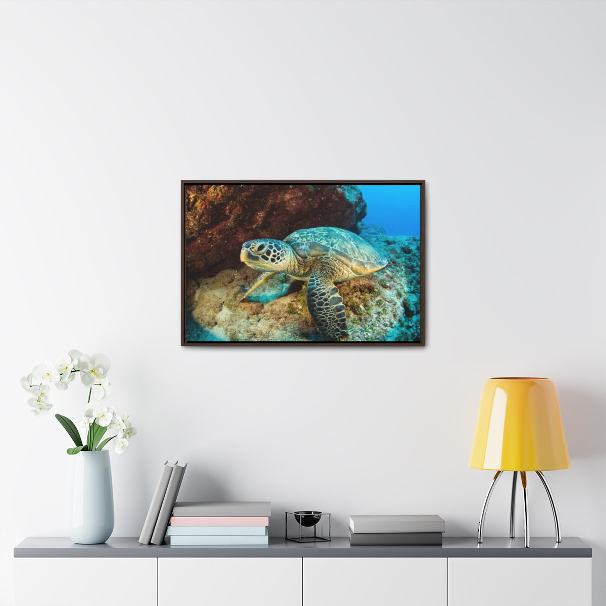 Sea Turtle Resting Canvas Print