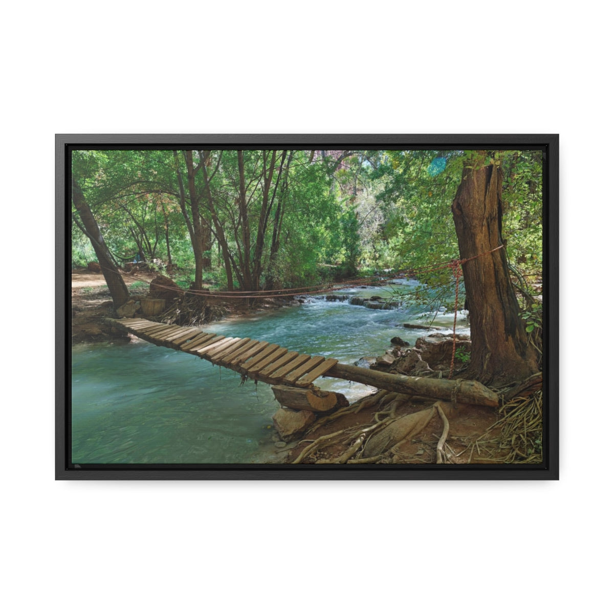 Havasu Creek Canvas Print