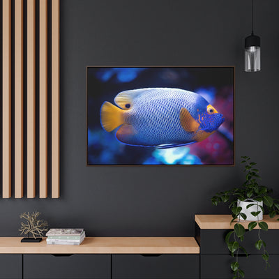 Queen Angelfish Canvas Print