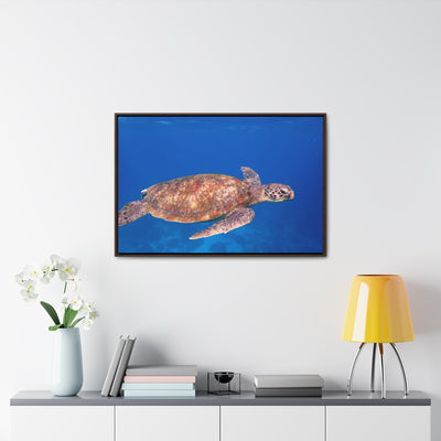 Sea Turtle Swimming Canvas Print