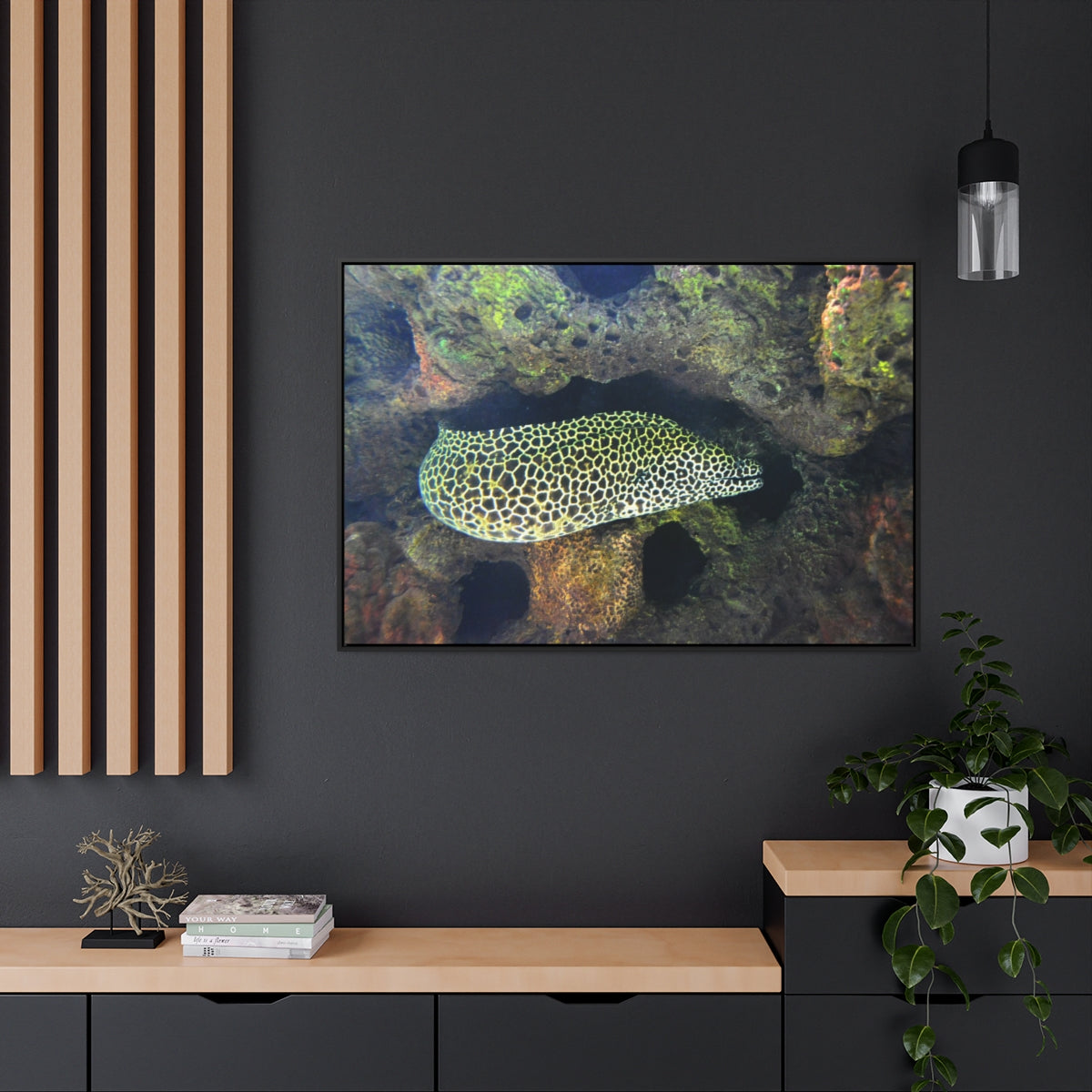 Honeycomb Moray Eel Canvas Print