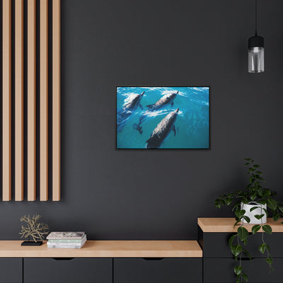 Dolphin Trio Canvas Print