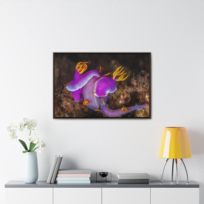 Nudibranch Canvas Print