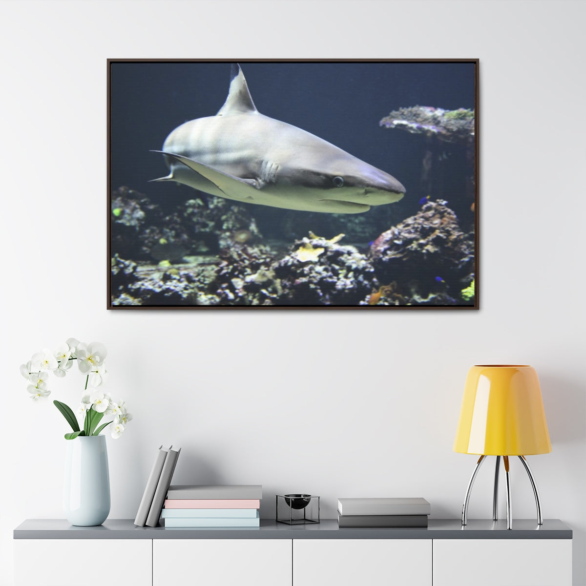 Blacktip Shark Canvas Print