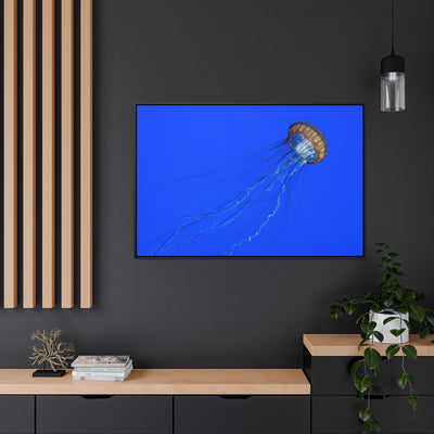 Jellyfish Tails Canvas Print