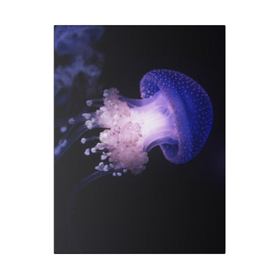 Vibrant Jellyfish Canvas Print
