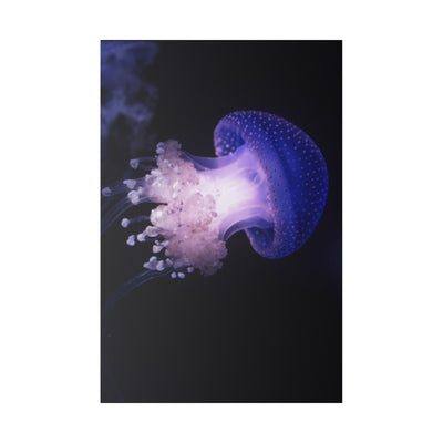 Vibrant Jellyfish Canvas Print
