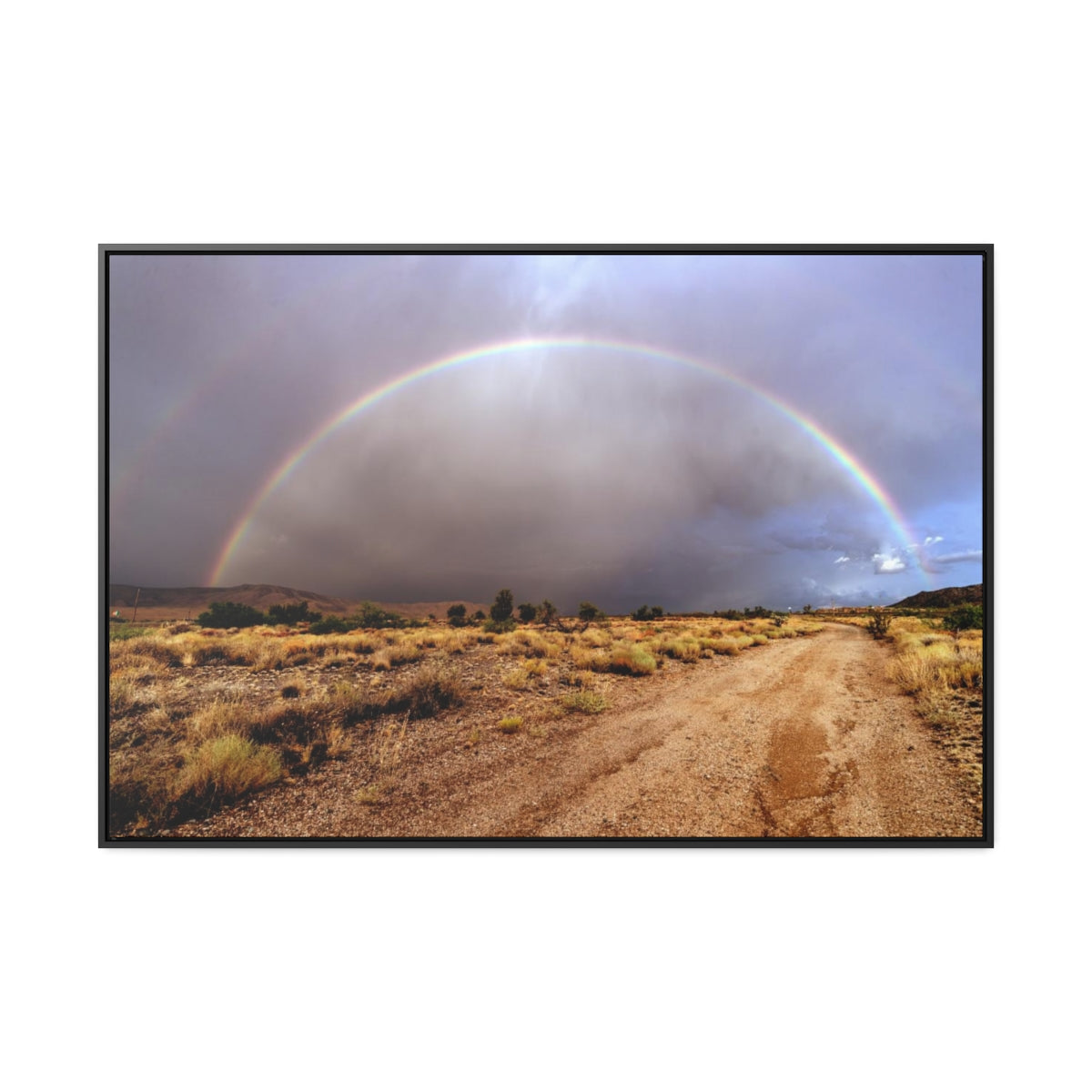 Rainbow Over Arizona Highway Canvas Print