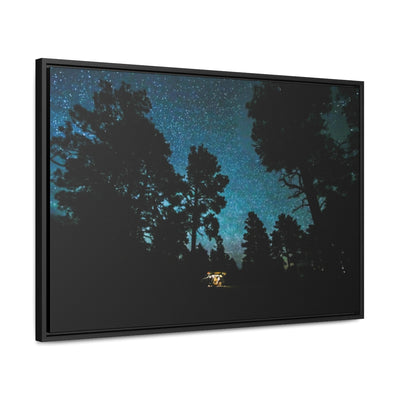 Arizona Forest Starry Night Canvas Print