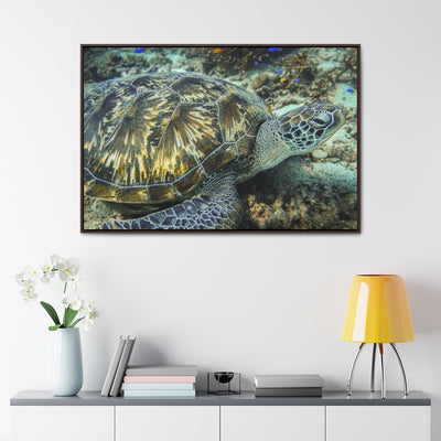 Sea Turtle Close-up Canvas Print