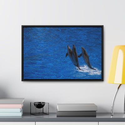 Dancing Dolphins Canvas Print