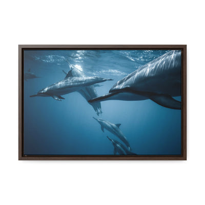 Dolphins Under Water Canvas Print