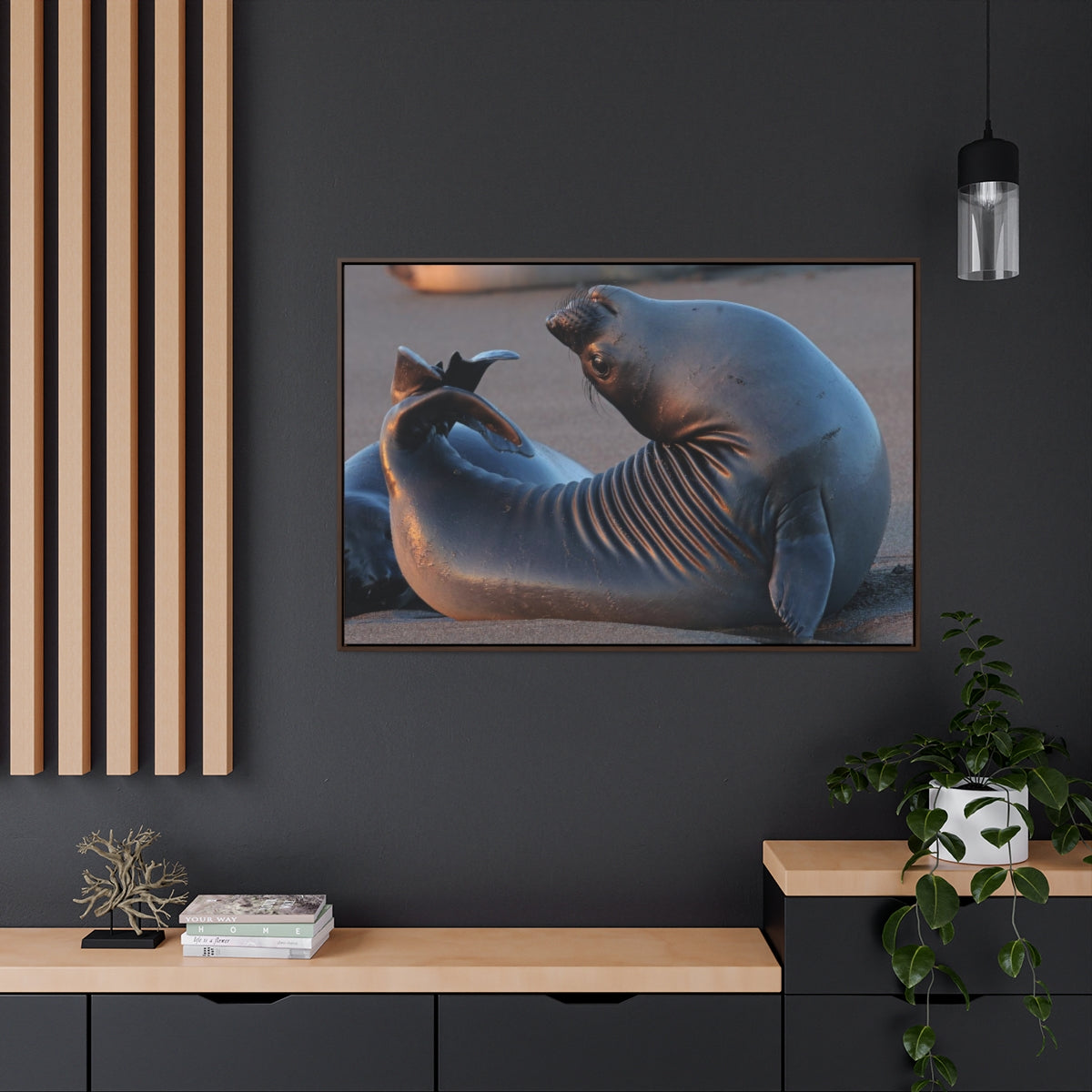 Seal Yoga Canvas Print