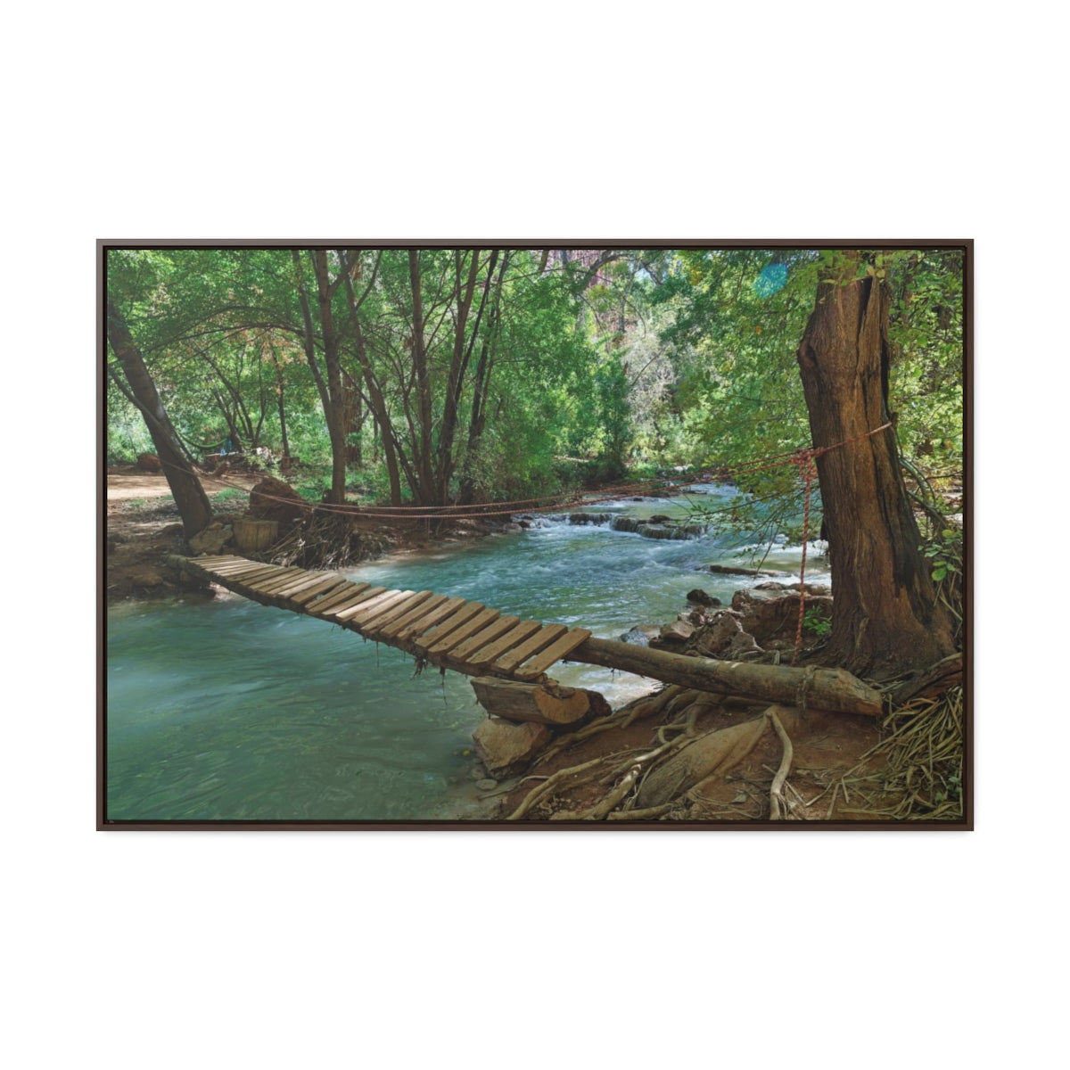 Havasu Creek Canvas Print
