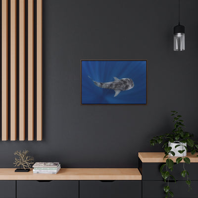 Whaleshark Below Canvas Print